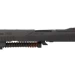 P320 complete slide.jpg